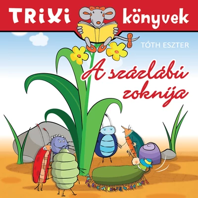 A százlábú zoknija